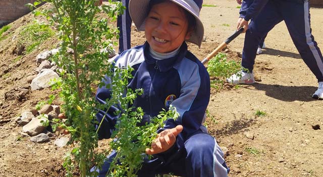 Concienciar y actuar:  escolares plantan 2.000 árboles en Puno