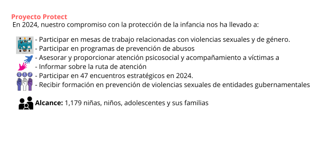 proyecto protect  en 2024