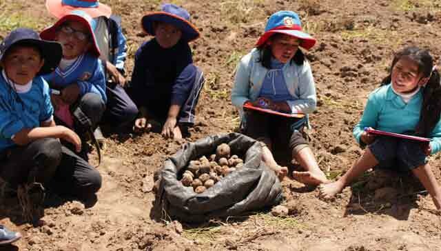 969758449348833755-peru-patatas2.jpg