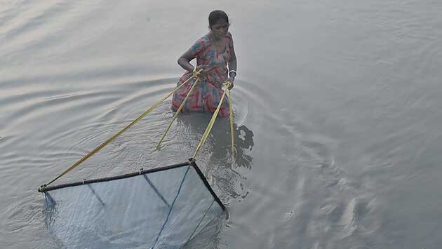 INDIA_MUJER3.jpg