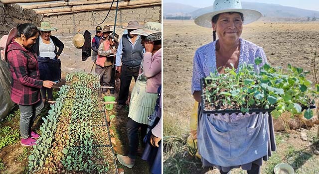 BOLIVIA_SALIMENTARIA3.jpg
