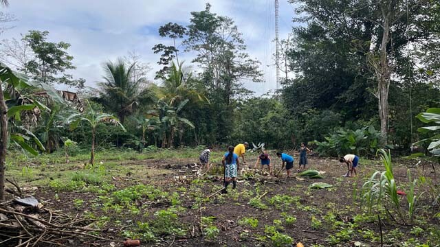 GUATEMALA_INVERNADEROS_PREPARACION.jpg