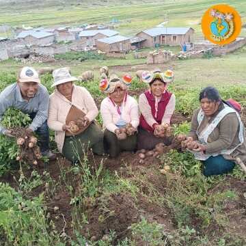 PERU_HUERTOS1.jpg