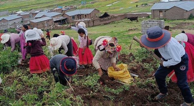 PERU_HUERTOS2.jpg