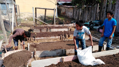 765756825619926805-guatemala-huertos-escolares.jpg