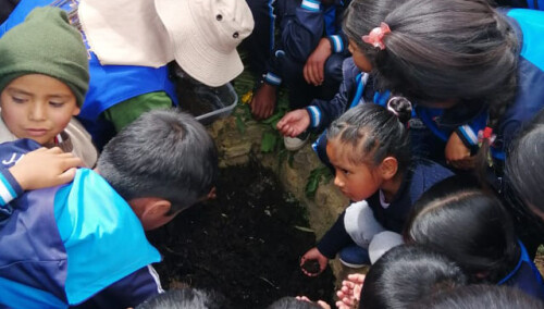 371909669746827723-bolivia-compost-juntutuyo2.jpg