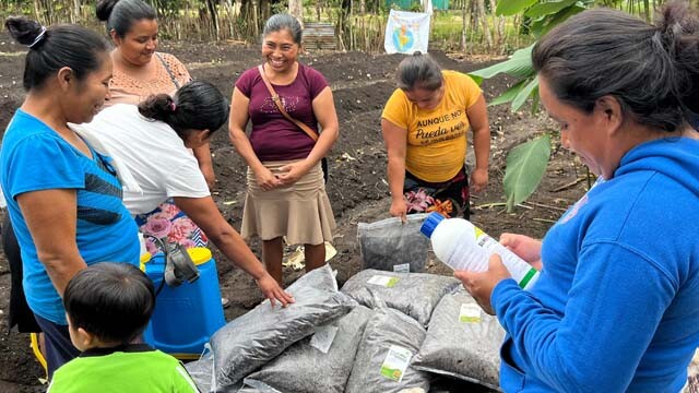 GUATEMALA_INVERNADEROS_MATERIAL.jpg