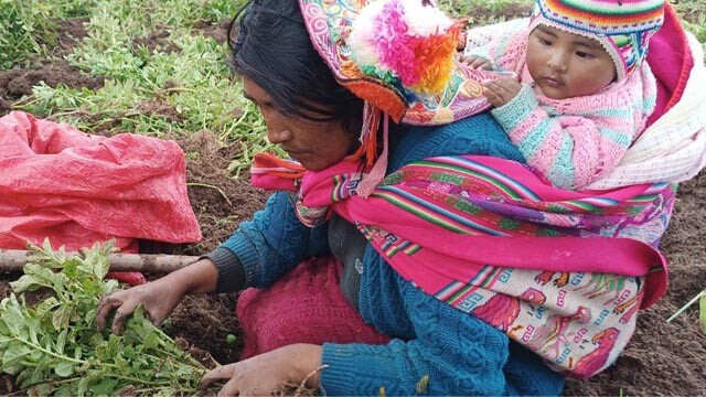 peru_chillachupa7.jpg