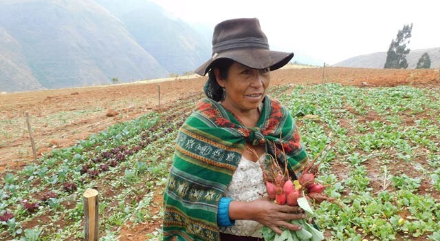 pindigenas_bolivia.jpg