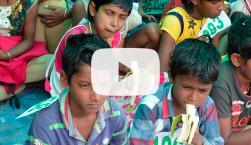 Desayunos escolares en Sunderbans Video