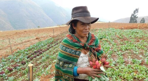 pindigenas_bolivia.jpg